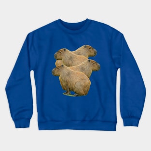 Capybara Stack Crewneck Sweatshirt